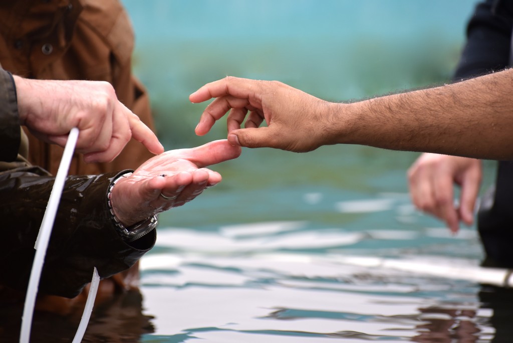 Caviar Harvesting-Passmore Ranch-Jan 2015-DSC_0075