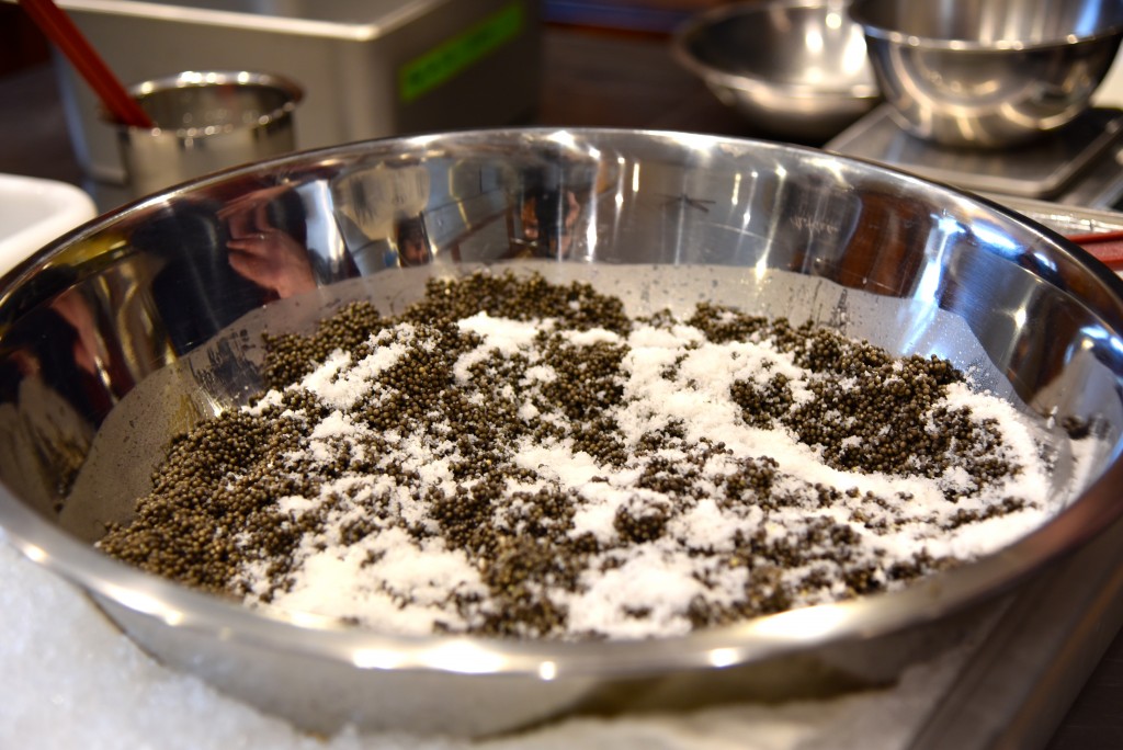 Caviar Harvesting-Passmore Ranch-Jan 2015-DSC_0733