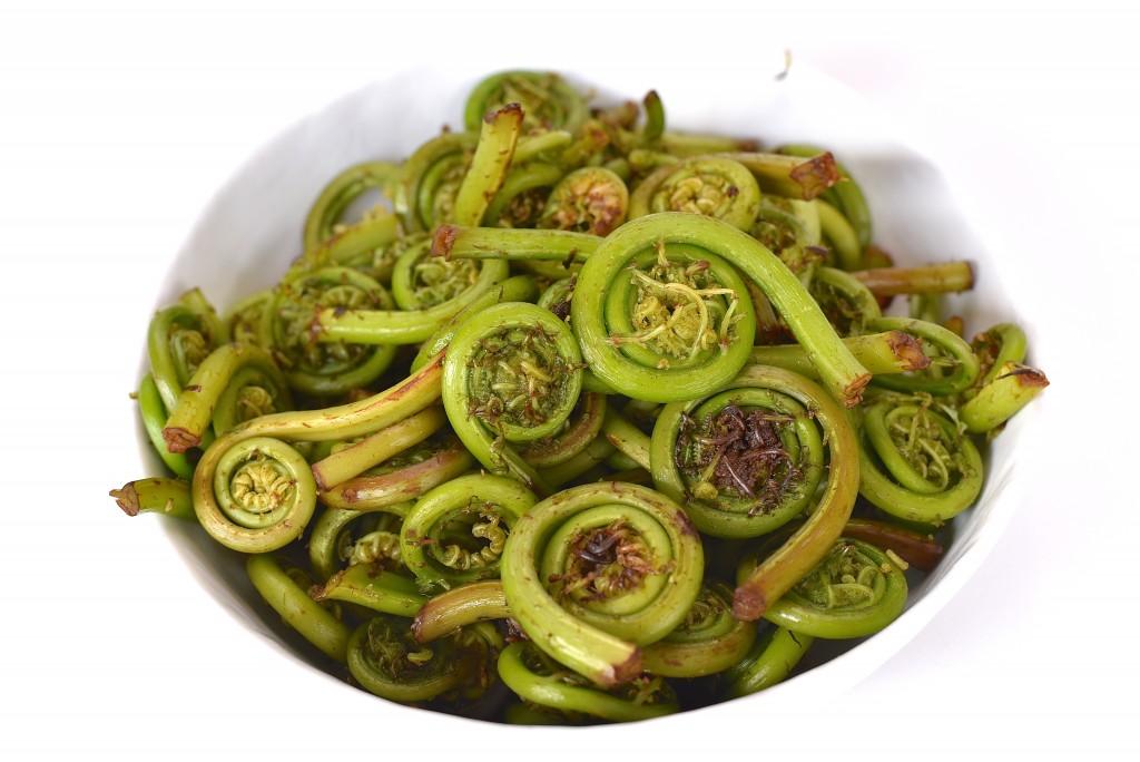 Locally foraged Fiddleheads