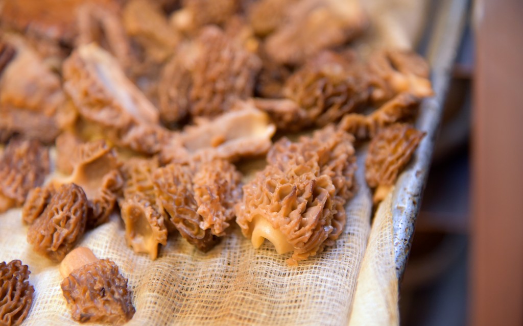 Smoked, locally foraged morels