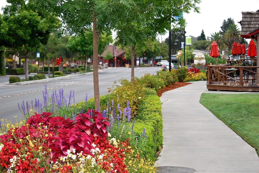 Downtown Yountville