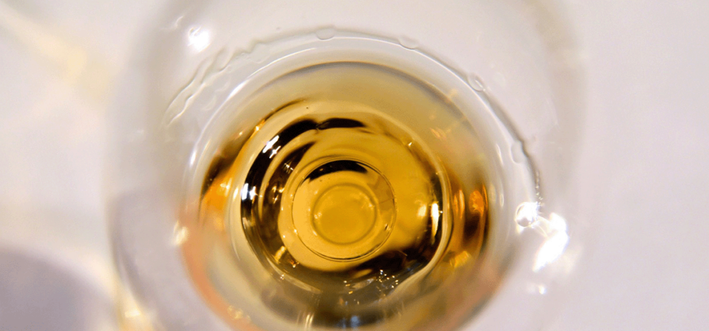 Glass of Wine