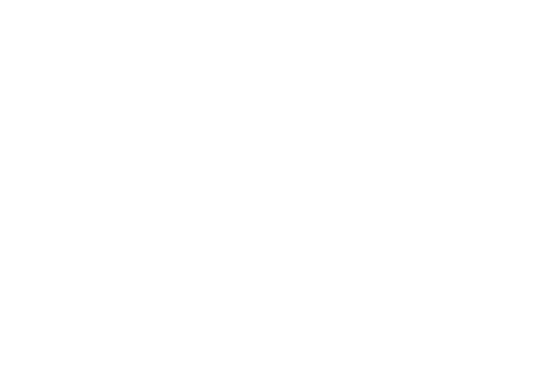 Michelin 2026